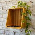 Modern Floating Wall Shelf for Plant Propagation & Reed Diffuser
