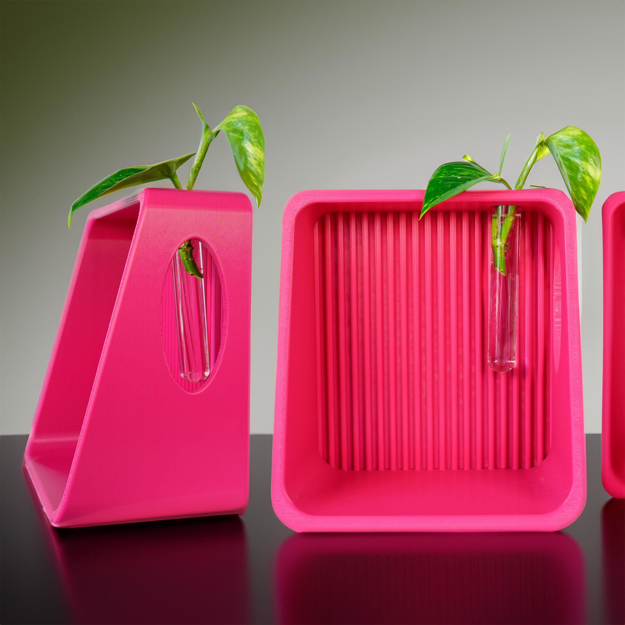 Modern Floating Wall Shelf for Plant Propagation & Reed Diffuser